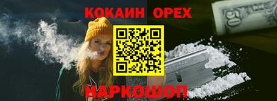 дмт Гусев