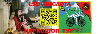 дмт Гусев