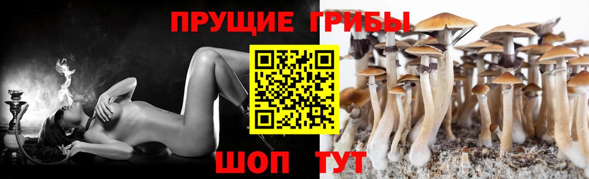 Галлюциногенные грибы GOLDEN TEACHER  Вход с VPN  Псилоцибиновые грибы MAGIC MUSHROOMS  Канаш 
