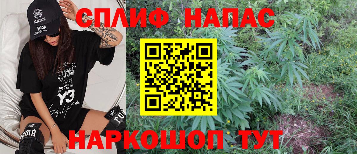 Шишки марихуана конопля  Вход с VPN  Марихуана Bruce Banner  Конопля конопля  Канаш  МАРИХУАНА MAZAR 